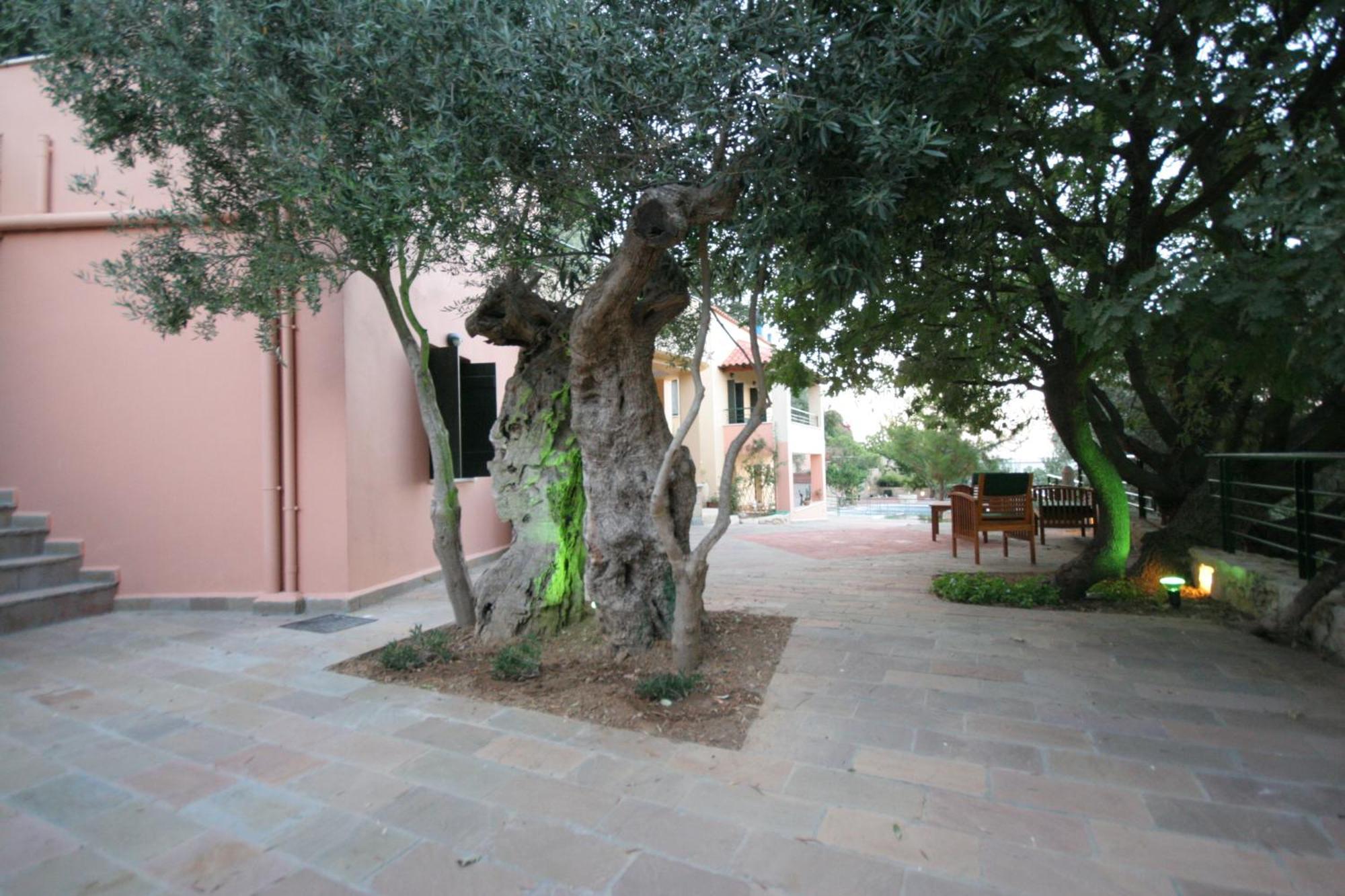 Kastellos Traditional Houses المظهر الخارجي الصورة