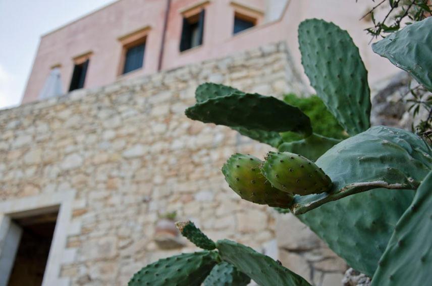 Kastellos Traditional Houses المظهر الخارجي الصورة